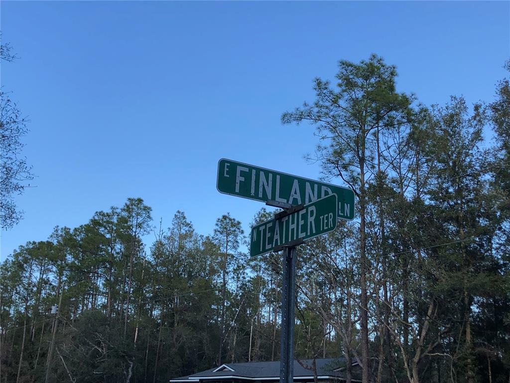 Property Photo:  381 E Finland Lane  FL 34434 