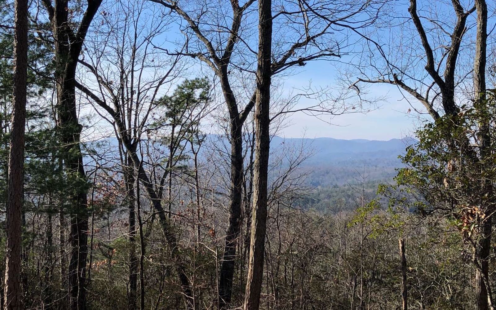 Property Photo:  Lt 13 Oceola Drive  GA 30540 