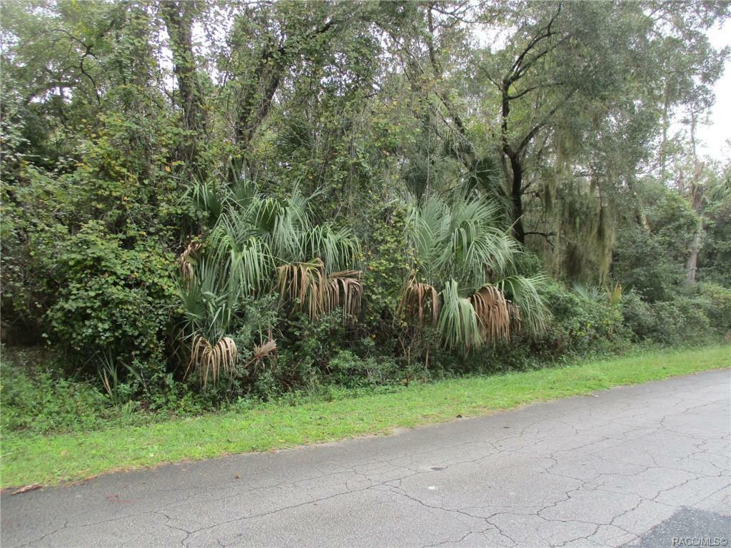 Property Photo:  11910 W Checkerberry Drive  FL 34428 