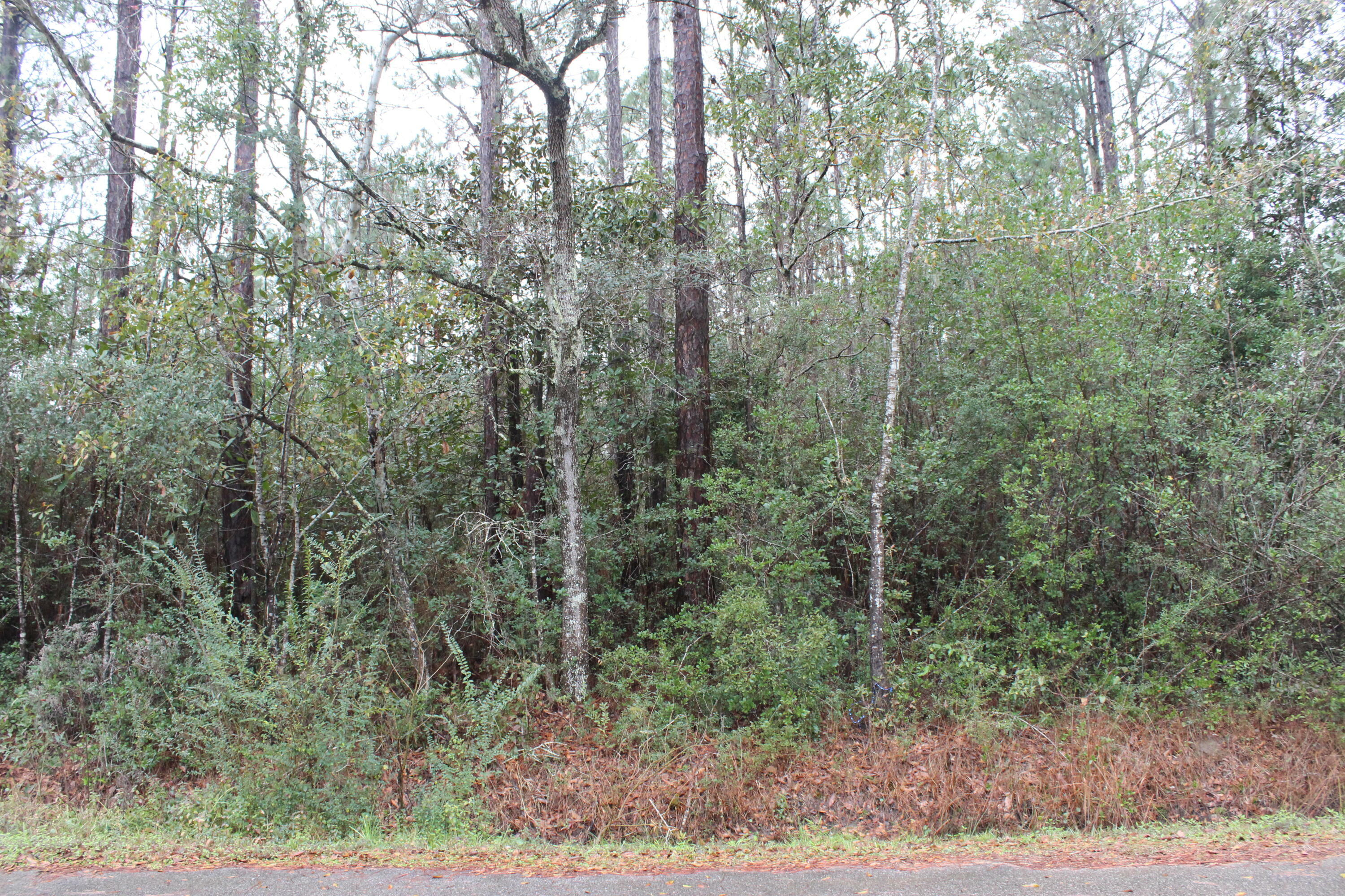 Xxx Lot 8 N 16th Avenue  Milton FL 32583 photo