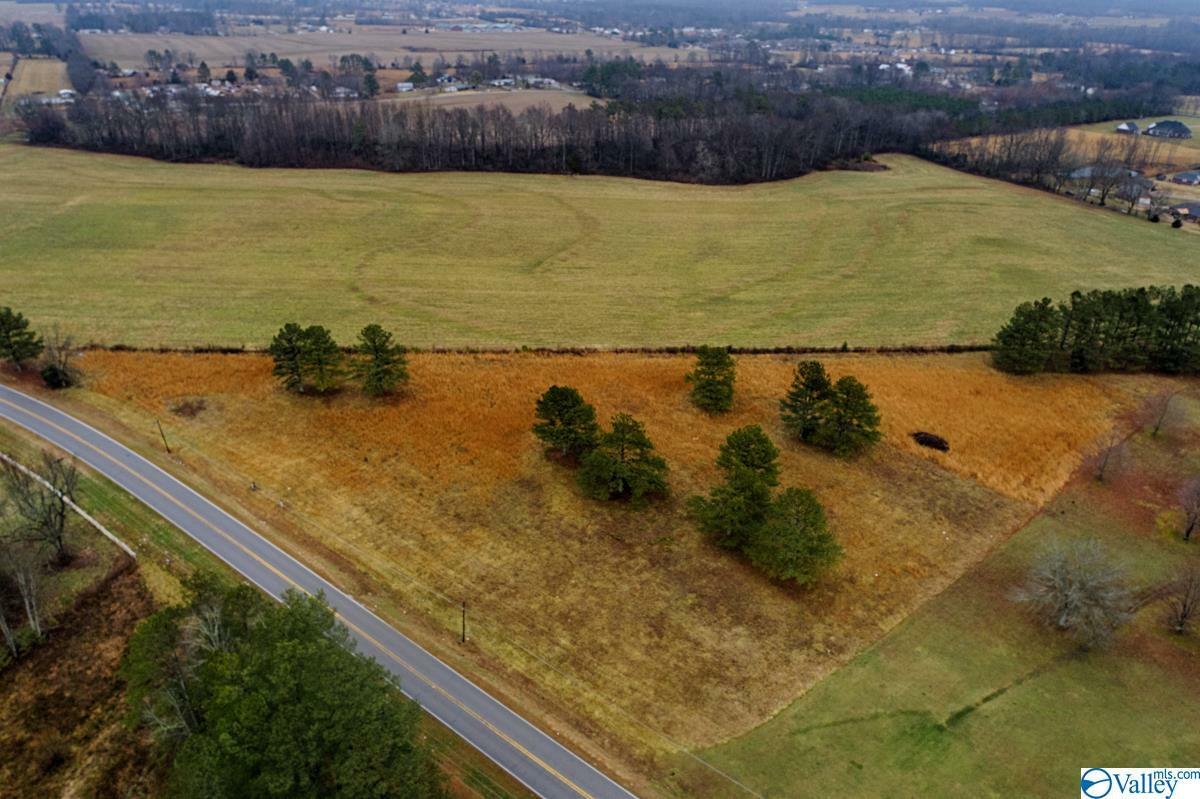 Property Photo:  28170 Highway 251  AL 35739 