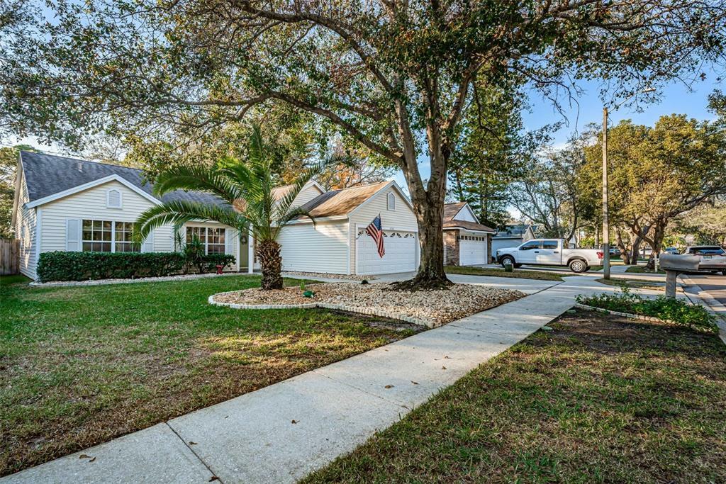 Property Photo:  1656 Countrywood Street  FL 34689 