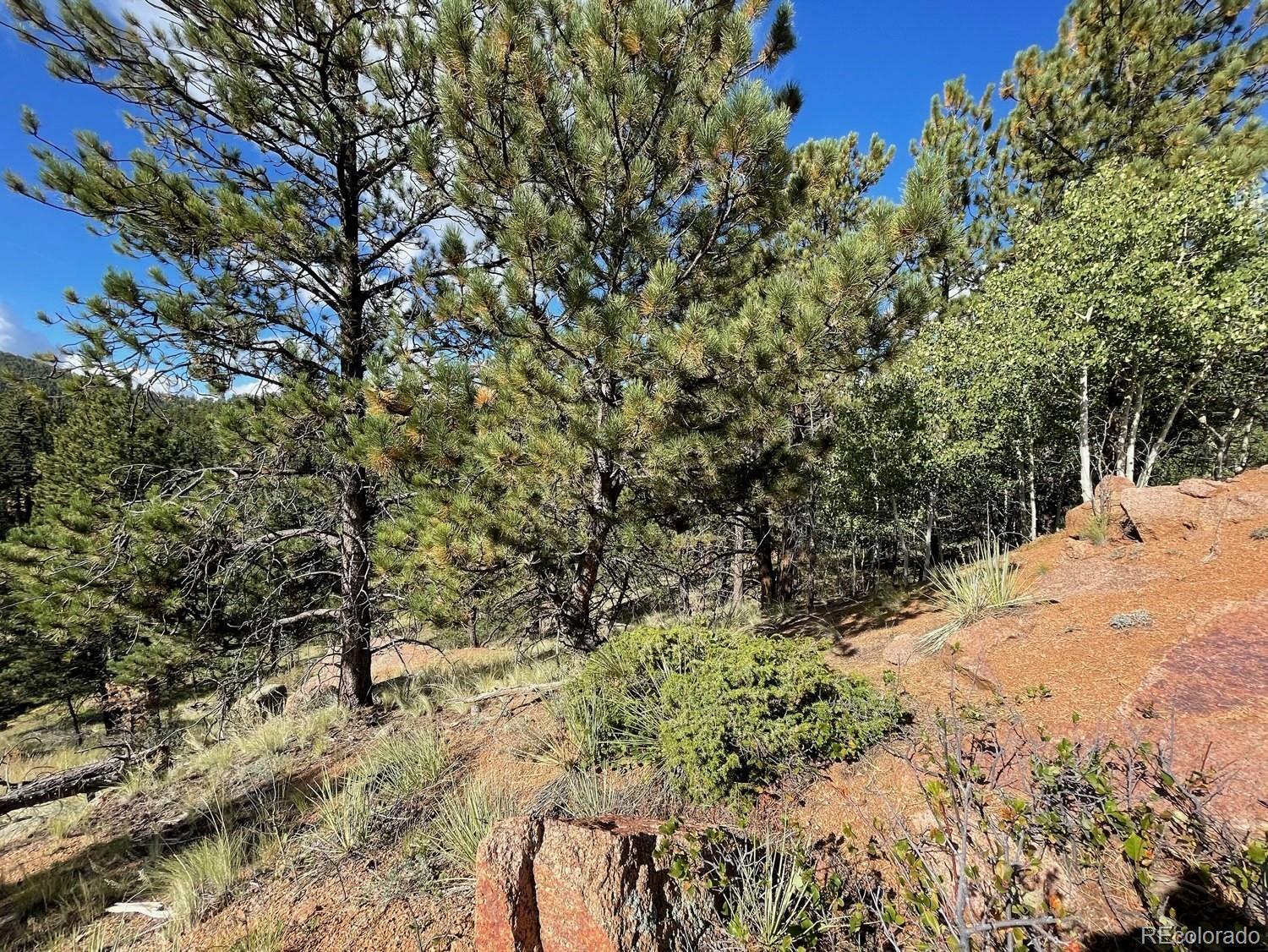 Property Photo: 392 Dandy Jim Drive CO 80813