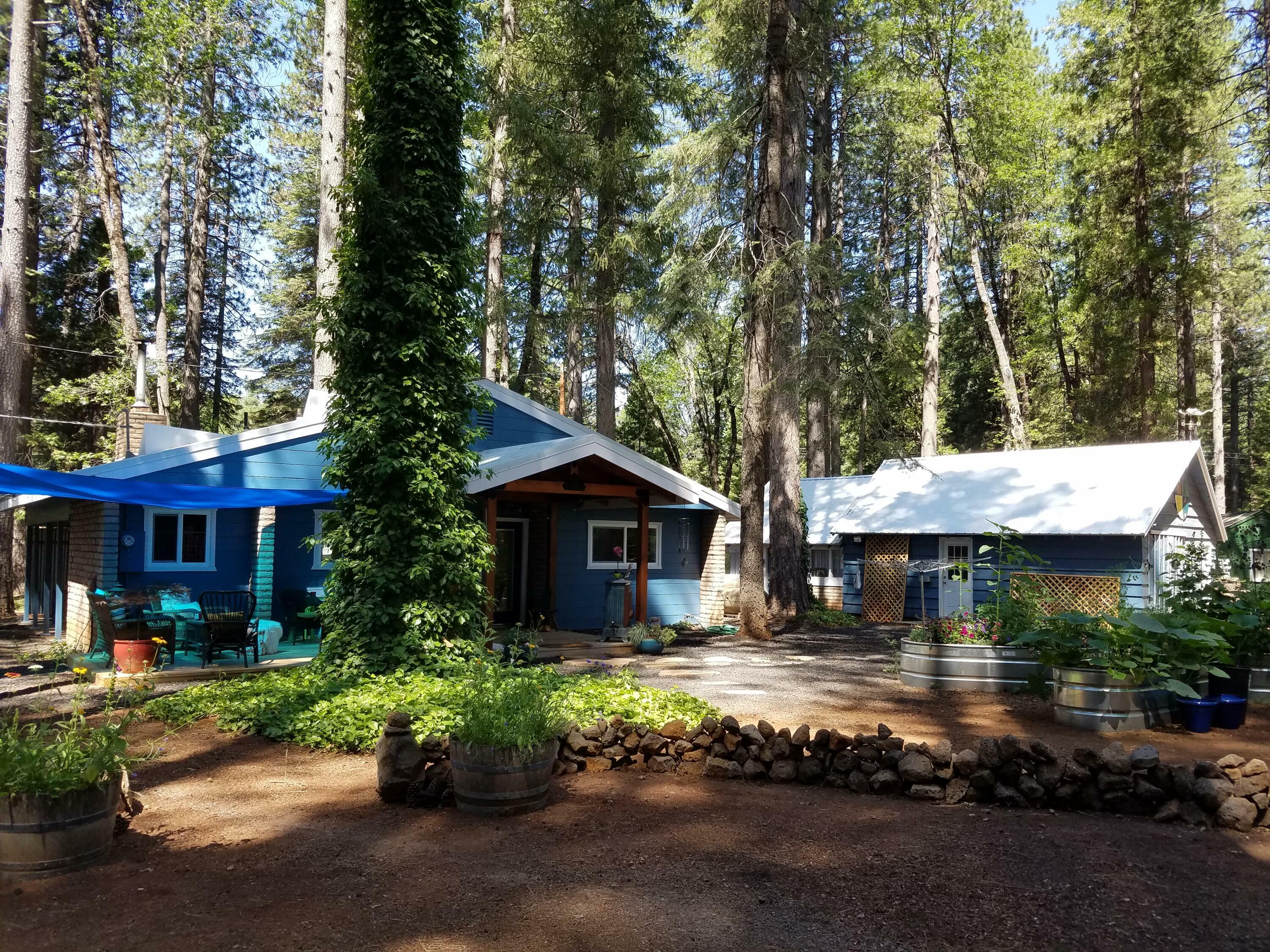 Property Photo:  7494 Smith Creek Road  CA 96088 