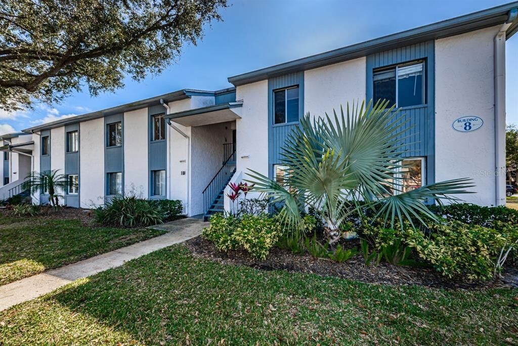 Property Photo:  258 Cypress Lane  FL 34677 