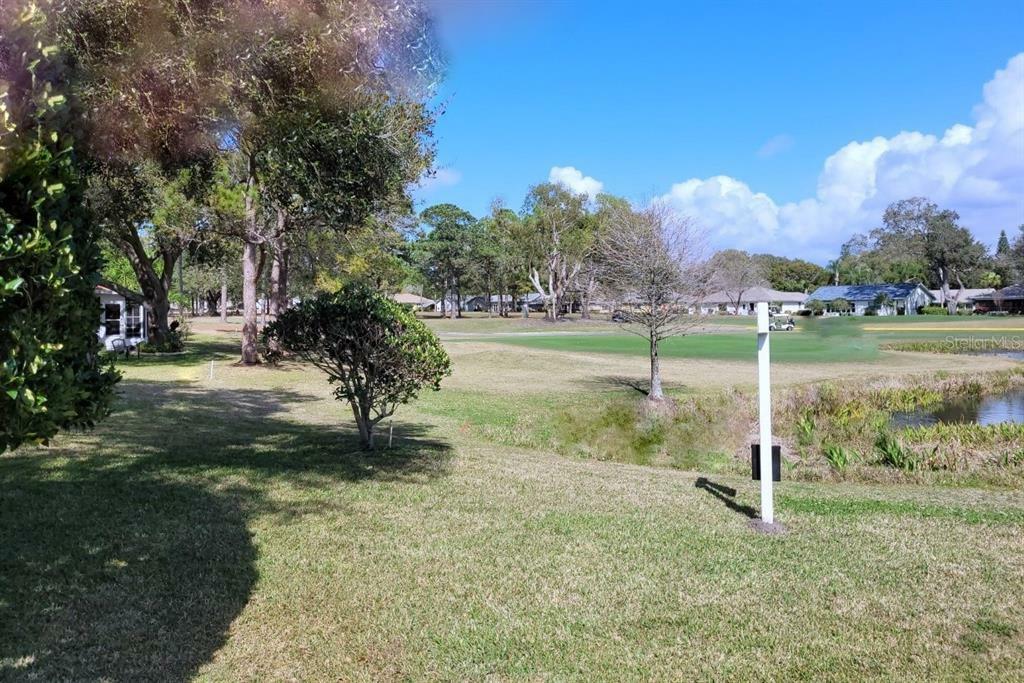 Property Photo: 1119 Madeira Drive FL 34684