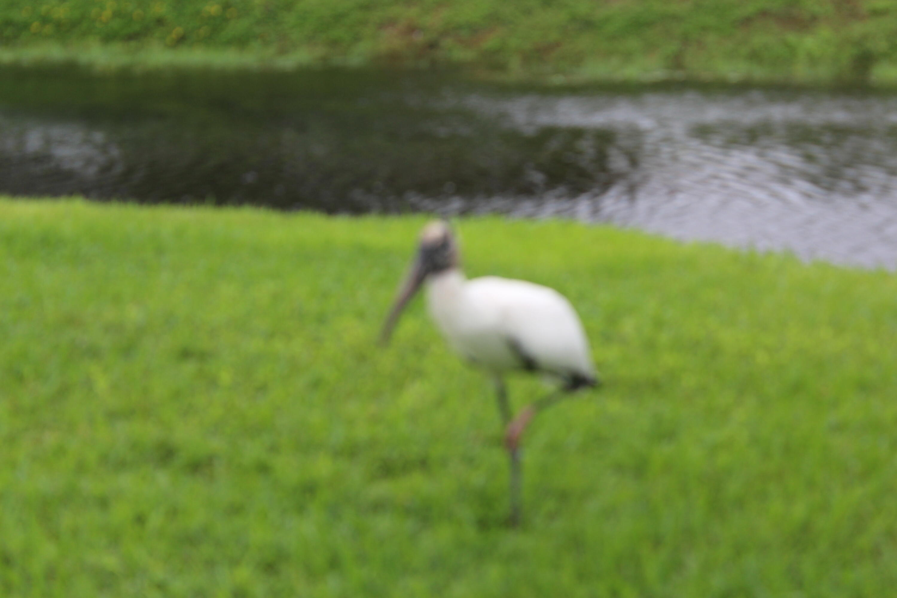 Property Photo: 1908 SW 14th Avenue FL 33426