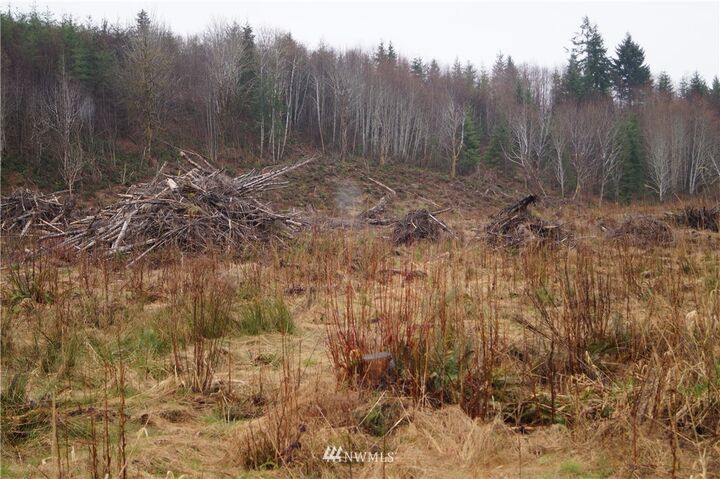 Property Photo:  600 E Satsop Road  WA 98541 