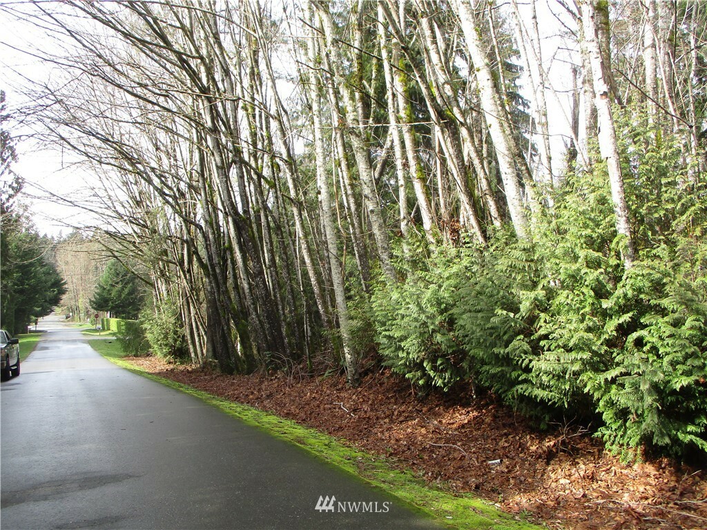 1 Lot B Maplewood Court 1748  Belfair WA 98528 photo