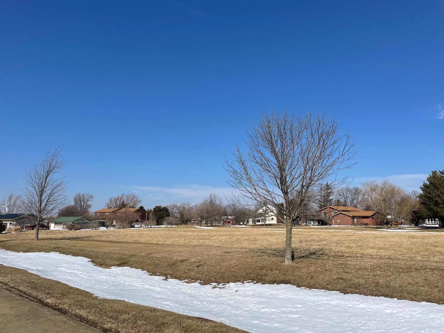 Property Photo:  161 Prairie Turn  IL 60919 