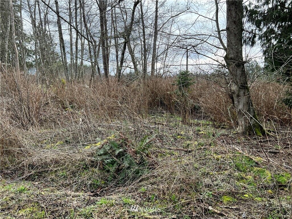 Property Photo: 0 Admirals Drive WA 98239