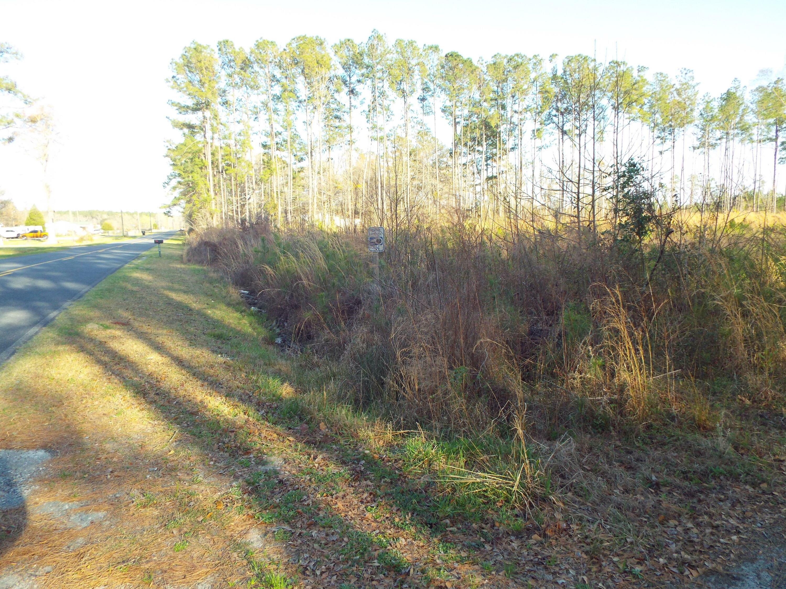 Property Photo:  1085 Lot A Whitehouse Road  SC 29486 