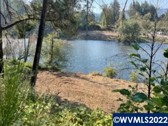 Property Photo:  25375  Santiam Park Rd SE  OR 97358 