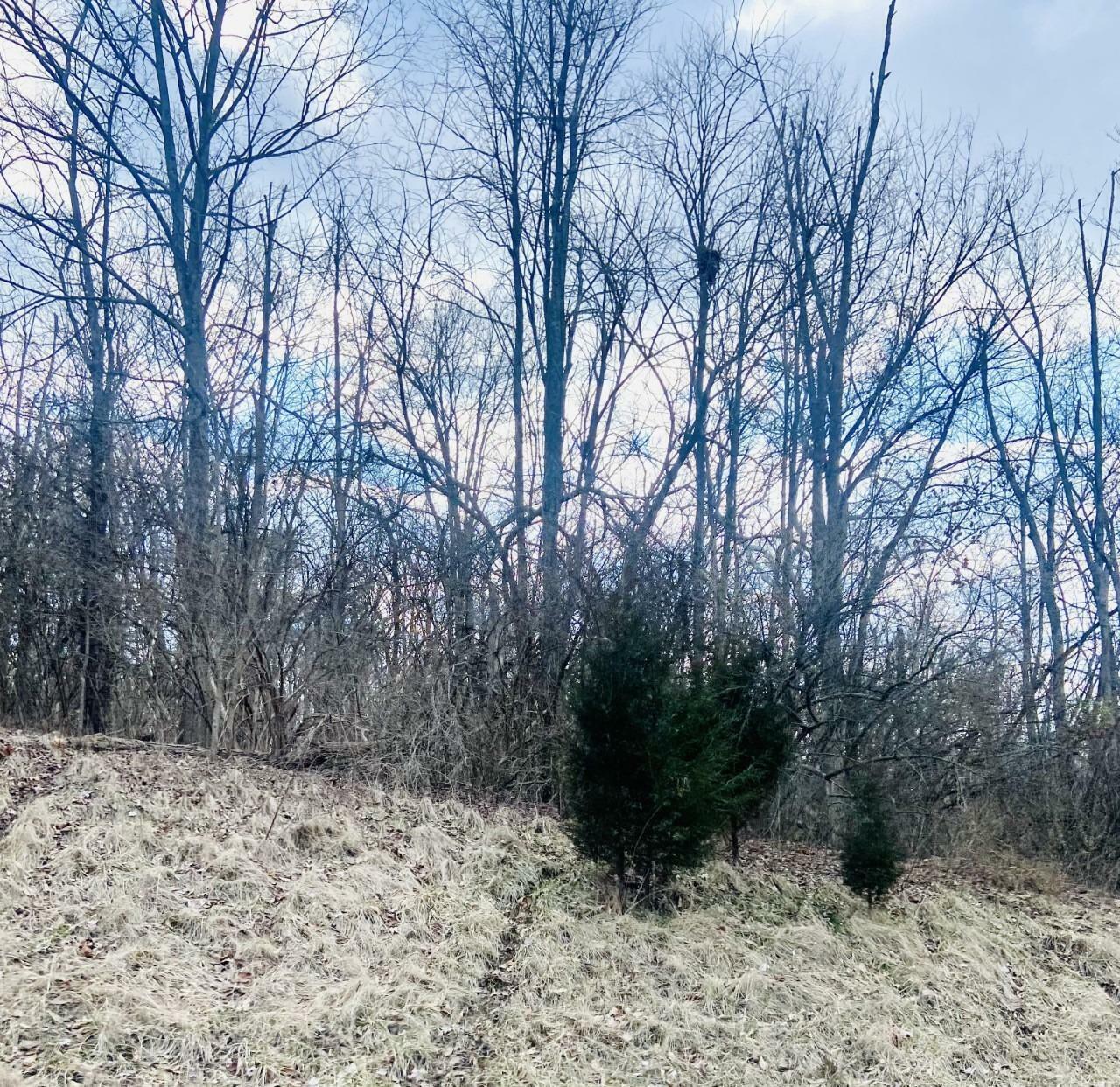 Property Photo:  0 Goshen Rd  OH 45122 