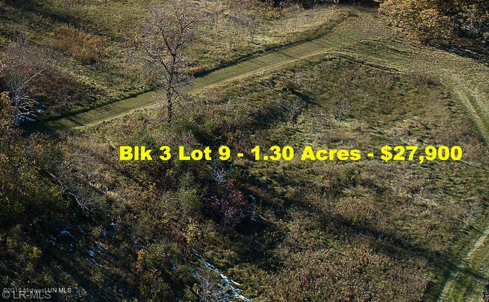 Property Photo:  Blk 3 Lot 9 County Rd 88  MN 56537 