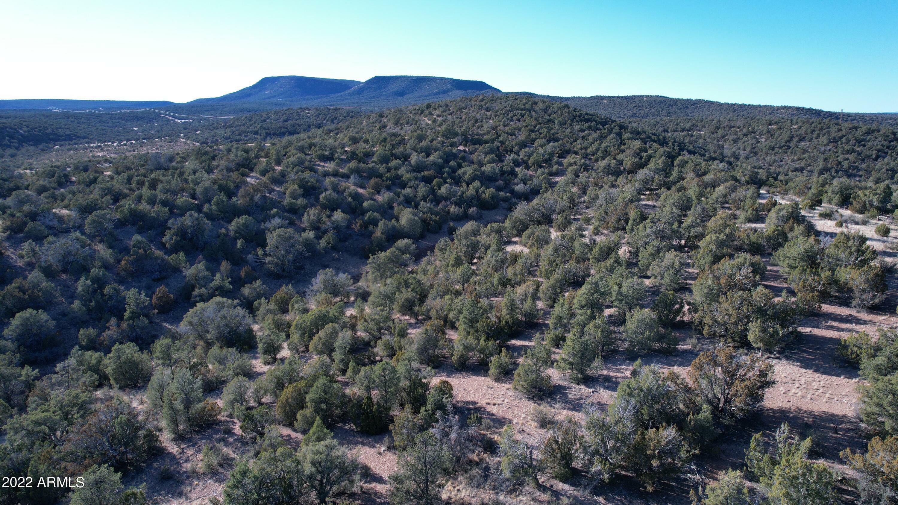 Property Photo:  51874 N Cordero Road 3382  AZ 86337 