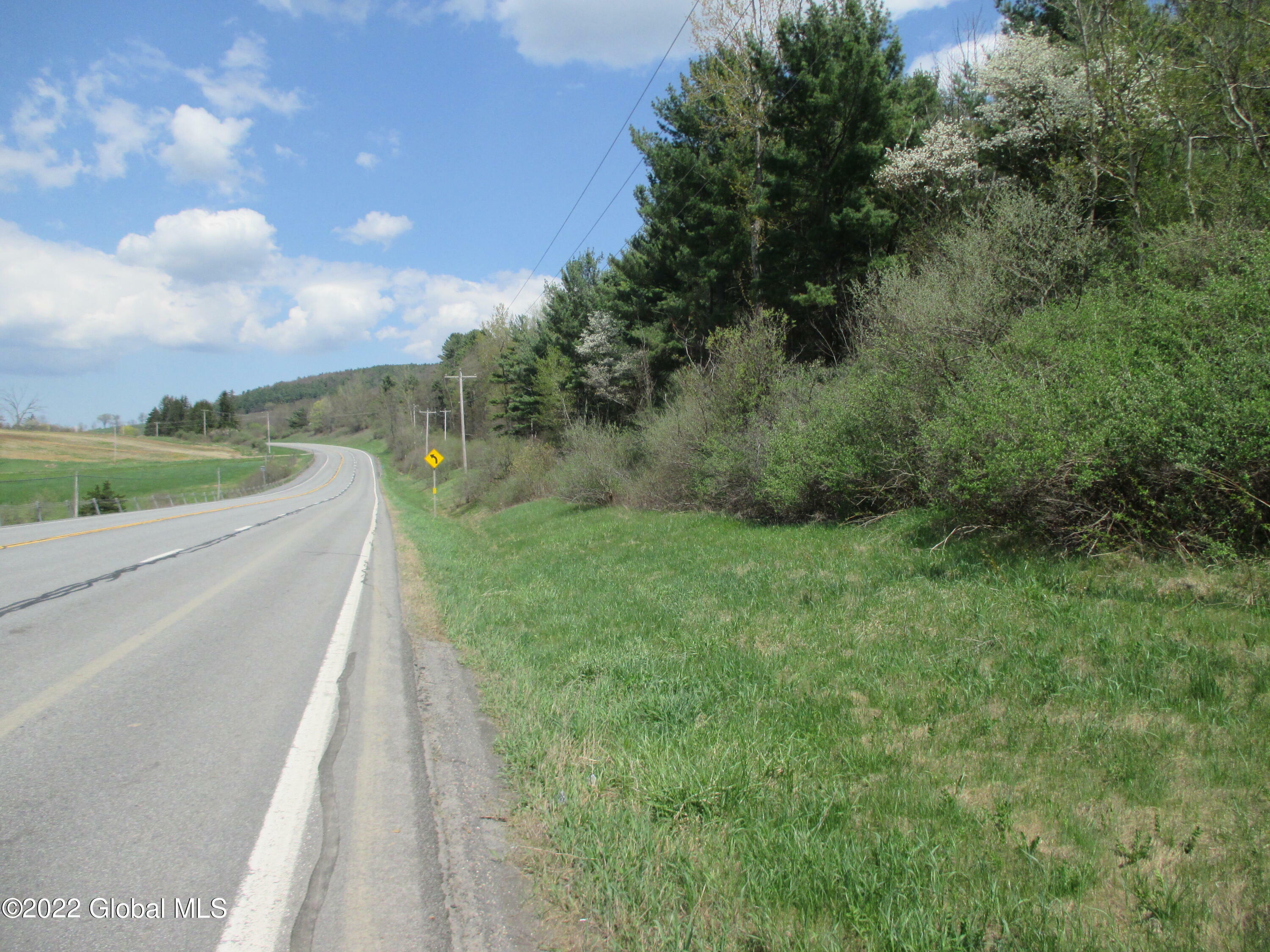 Property Photo:  L2.1 State Route 145  NY 12122 