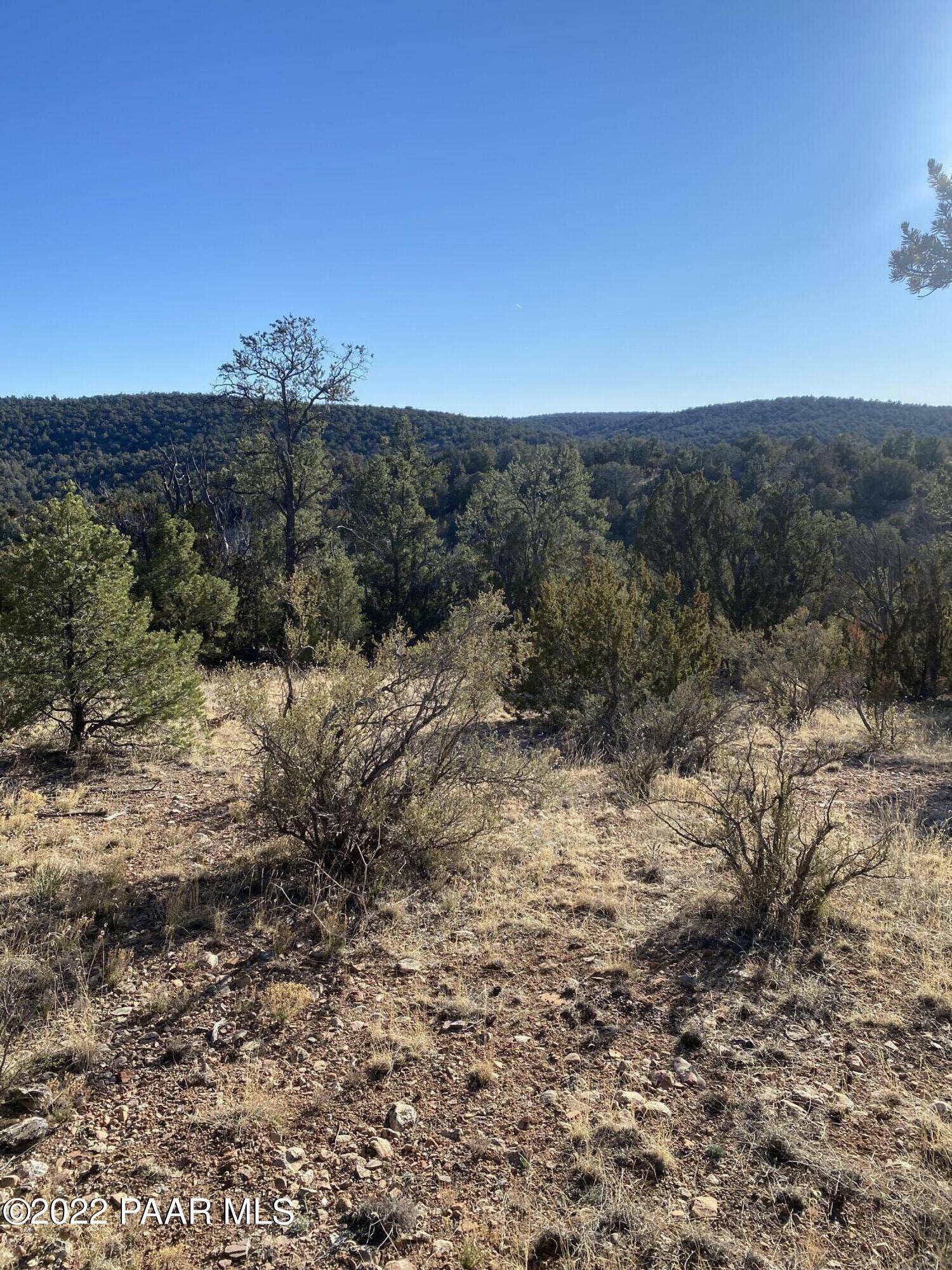 Property Photo:  51824 N Cordero Road  AZ 86337 