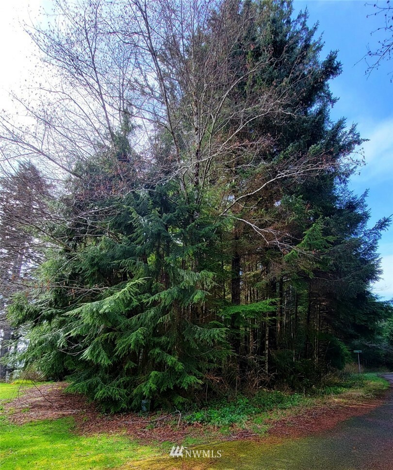 Property Photo:  0 Pt Grenville Tr 20  WA 98587 