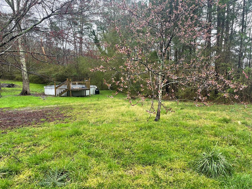 Property Photo: 0 Hammontree Drive GA 30728