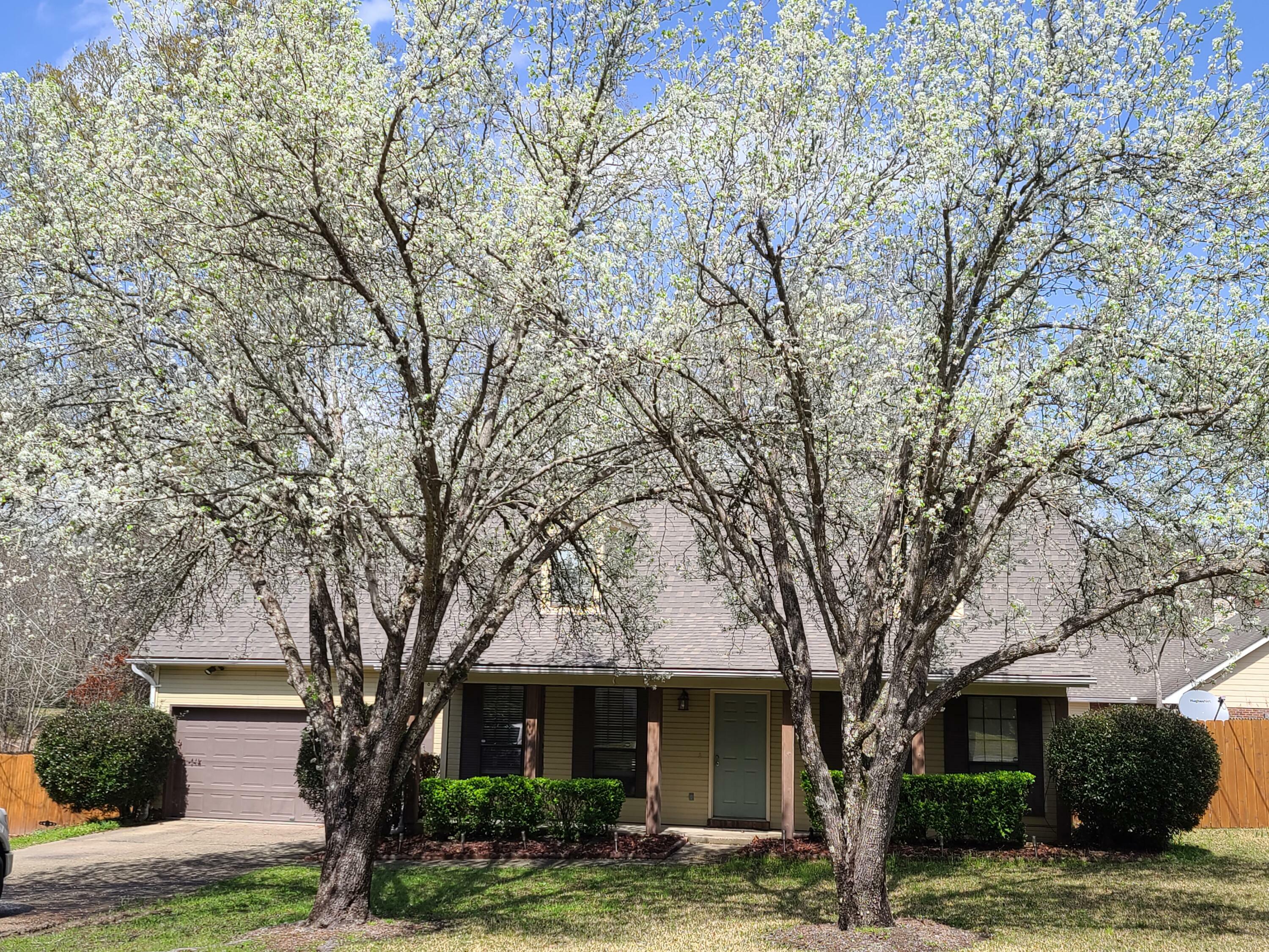 Property Photo:  210 Pinehills Dr.  MS 39402 