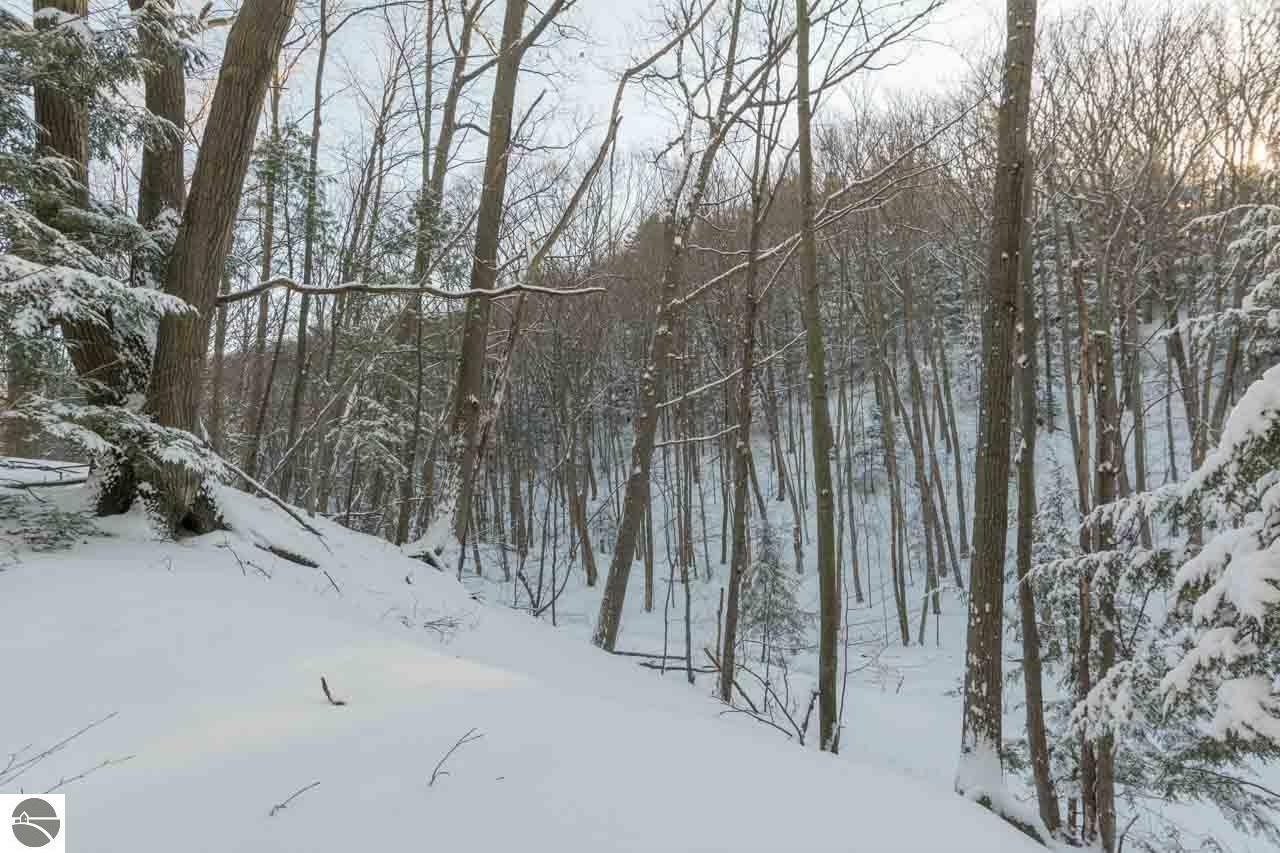 Property Photo:  S Manitou Trail  MI 49653 