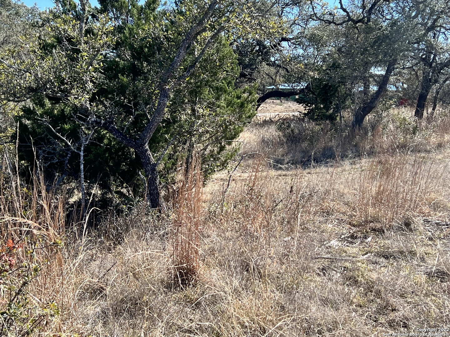 Property Photo:  11107 Nina Ridge  TX 78255 