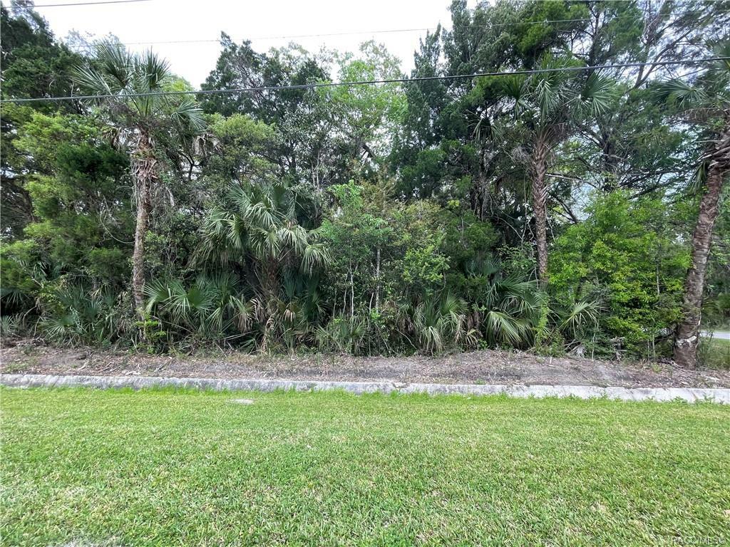 Property Photo:  1088 N Citrus Avenue  FL 34428 