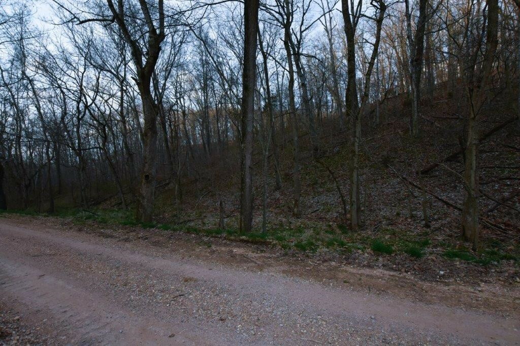 Property Photo:  10.7 Acres Grannys Branch Road  MO 64856 