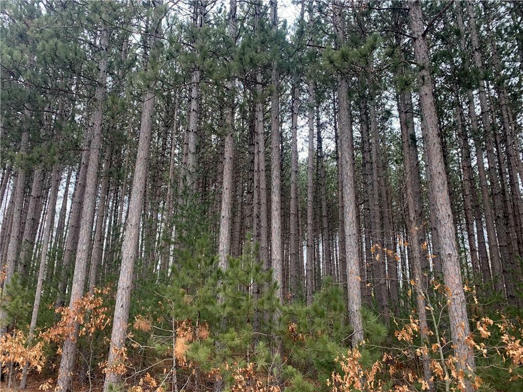 Property Photo: Lot 2 Bear Path Lane WI 54801