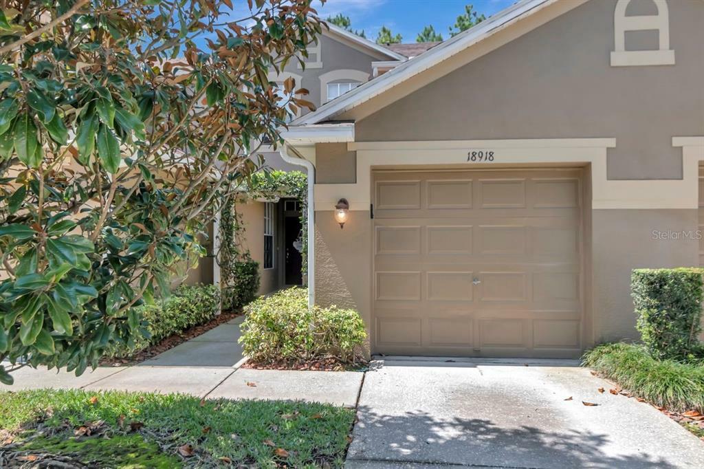 Property Photo:  18918 Duquesne Drive  FL 33647 