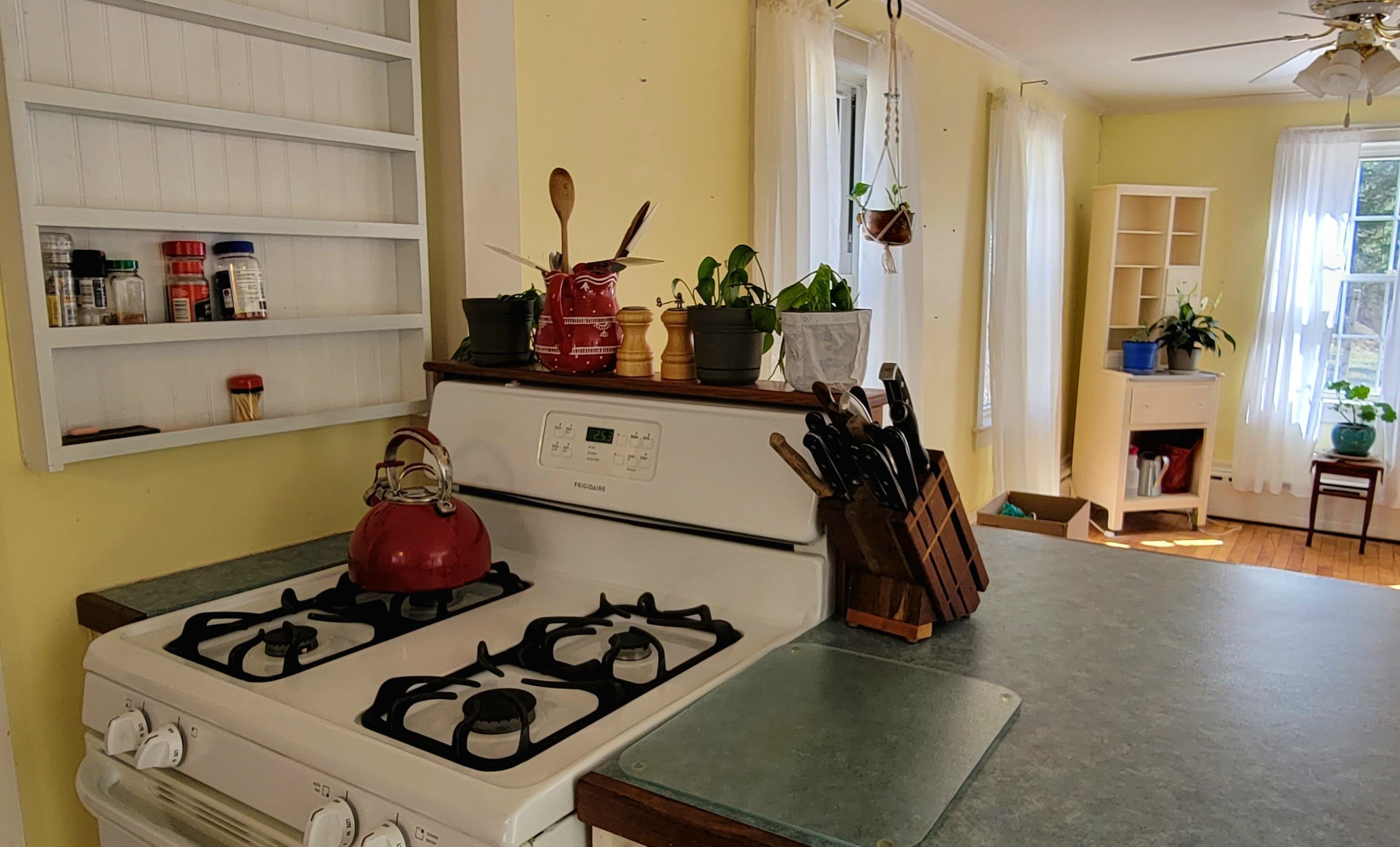 Property Photo: 17 Brindle Pond Road NH 03225