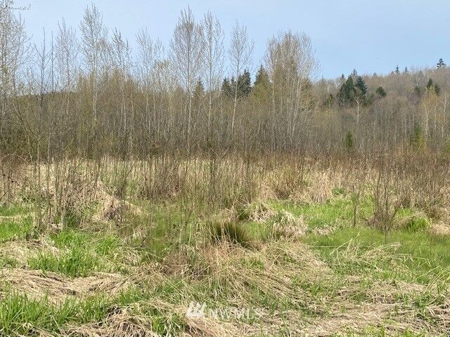 Property Photo:  0 Frontage Road  WA 98611 