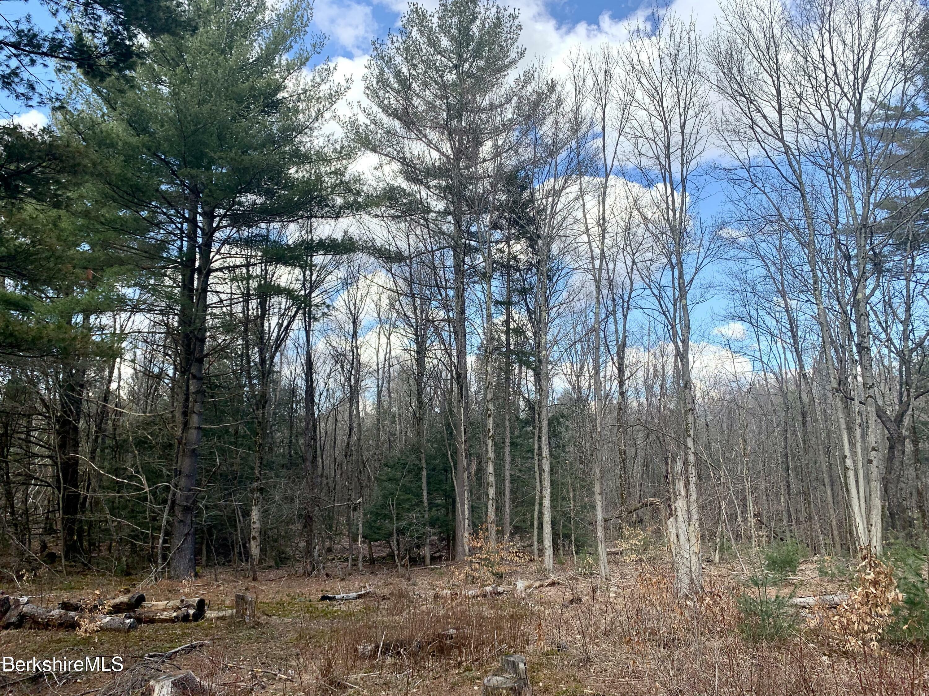 0 Middlefield Rd  Washington MA 01223 photo