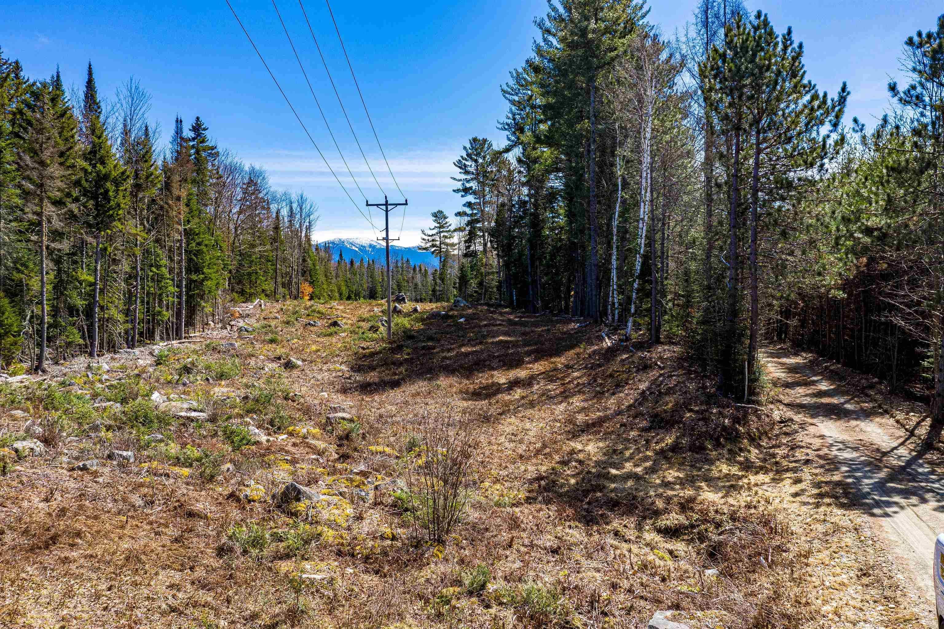 Property Photo:  000 Scrag Mountain Road  NH 03586 