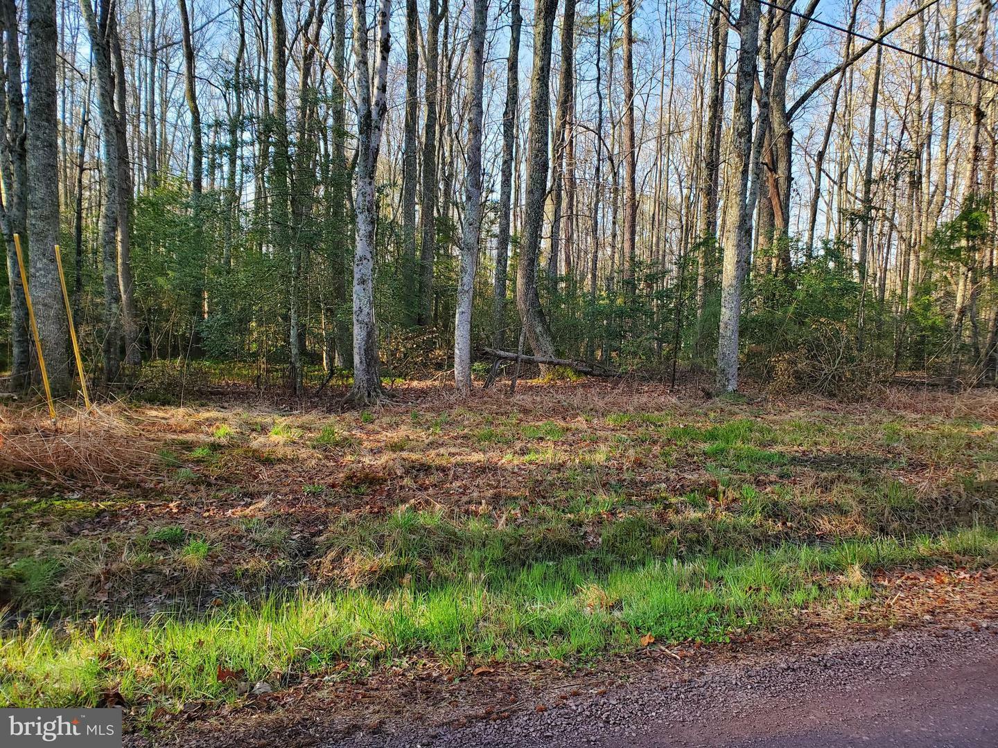 Property Photo:  Lot 6 Woodbine Drive  VA 22443 