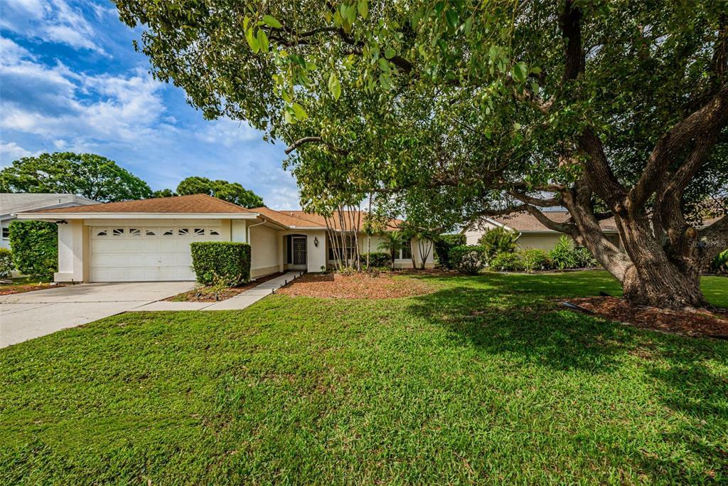 Property Photo:  4017 Ashley Court  FL 34691 