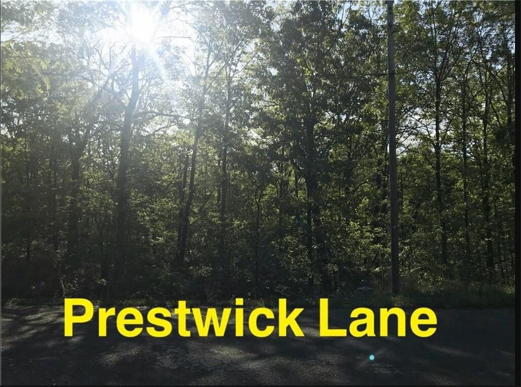 Property Photo: Lot 6 Block 4 Prestwick Lane AR 72715