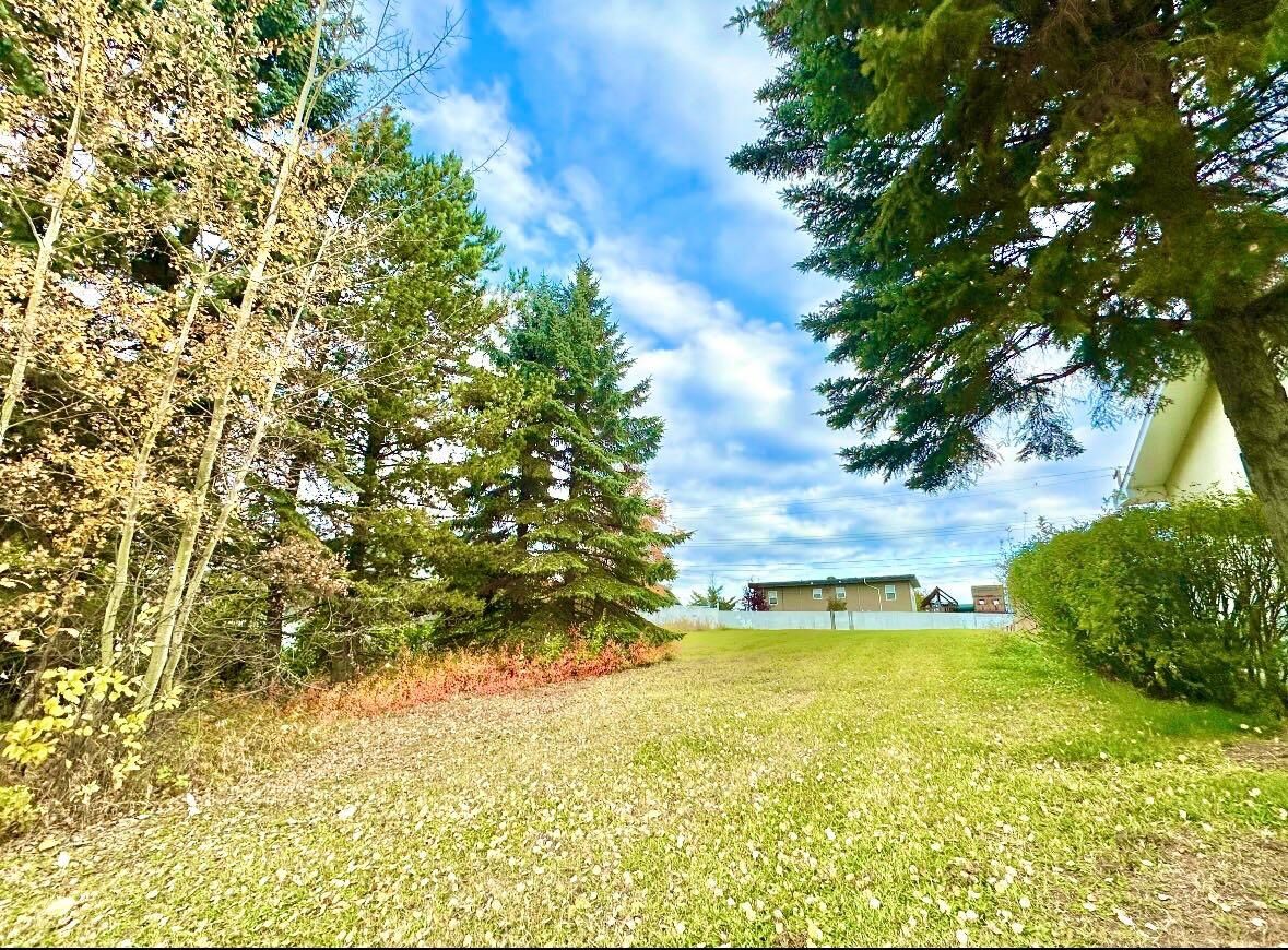 Property Photo: 10316 103 Ave AB T0A 2C0