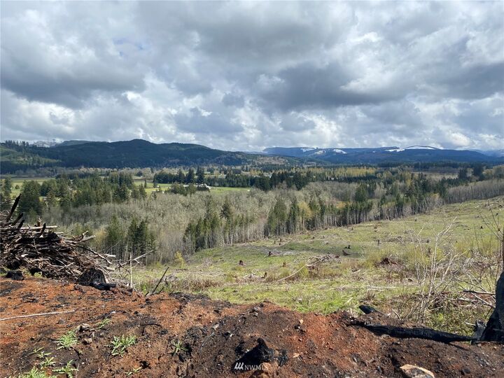Property Photo:  0 Tono Road SE  WA 98589 
