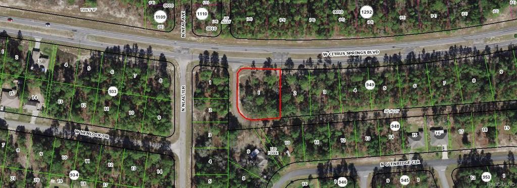 Property Photo:  738 W Citrus Springs Boulevard  FL 34434 