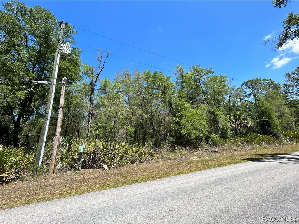 Property Photo:  9771 W Hayes Lane  FL 34428 