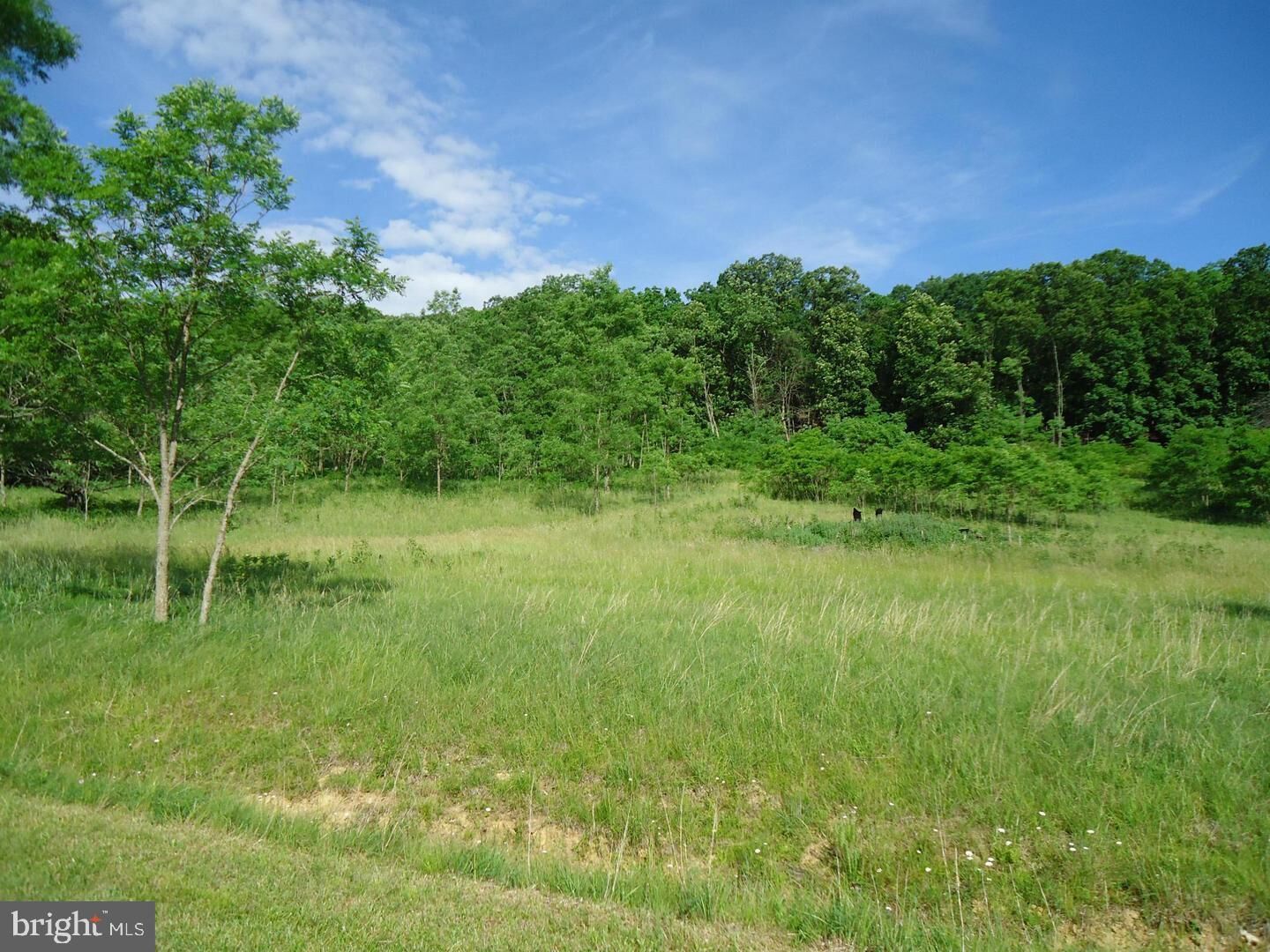 Property Photo:  Nancy Hanks Drive  WV 26743 