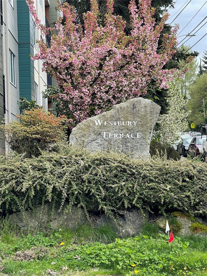 9710 5th Avenue NE 202  Seattle WA 98115 photo