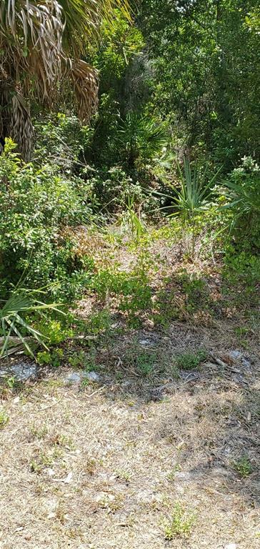 Property Photo:  12071 Xavier Avenue  FL 33981 