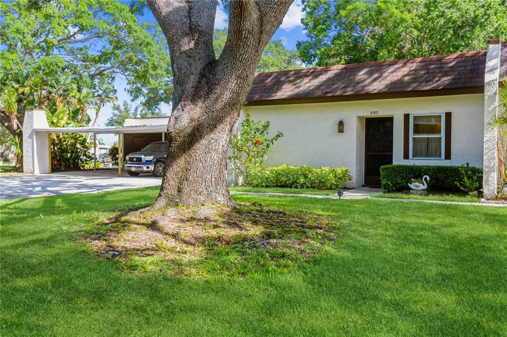 Property Photo:  3163 Mission Grove Drive  FL 34684 