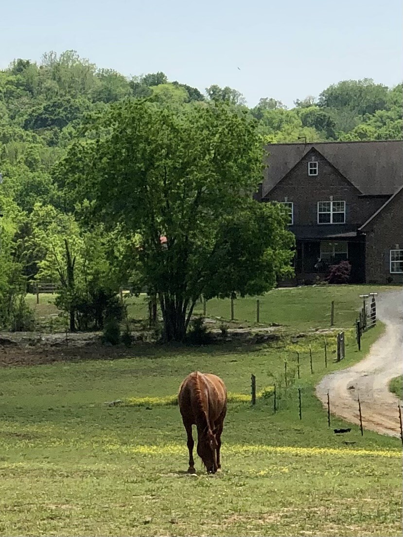 Property Photo: 374 Shorter Rd TN 37090