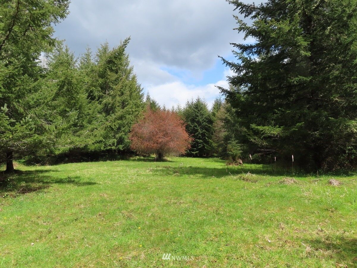 Property Photo:  0 Xxx Hagen Road  WA 98564 