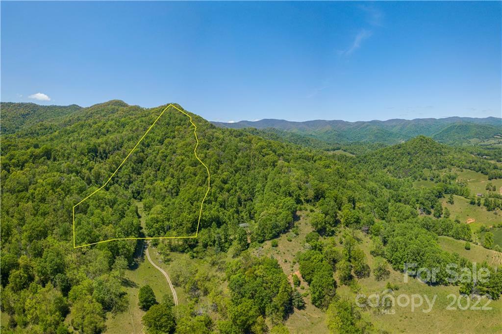 Property Photo:  99999 Willow Creek Road  NC 28748 