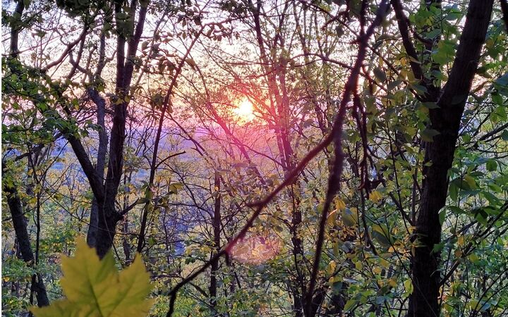 Lot52 Talona Mountain Road  Ellijay GA 30536 photo